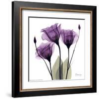 Royal Purple Gentian Trio-Albert Koetsier-Framed Art Print