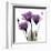 Royal Purple Gentian Trio-Albert Koetsier-Framed Art Print