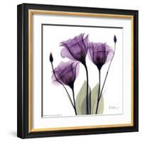 Royal Purple Gentian Trio-Albert Koetsier-Framed Art Print