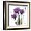 Royal Purple Gentian Trio-Albert Koetsier-Framed Art Print