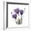 Royal Purple Gentian Trio-Albert Koetsier-Framed Premium Giclee Print