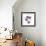 Royal Purple Gentian Trio-Albert Koetsier-Framed Premium Giclee Print displayed on a wall