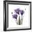 Royal Purple Gentian Trio-Albert Koetsier-Framed Premium Giclee Print