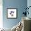 Royal Purple Gentian Trio-Albert Koetsier-Framed Premium Giclee Print displayed on a wall