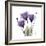 Royal Purple Gentian Trio-Albert Koetsier-Framed Premium Giclee Print