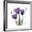 Royal Purple Gentian Trio-Albert Koetsier-Framed Giclee Print