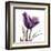 Royal Purple Parrot Tulip-Albert Koetsier-Framed Art Print