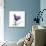 Royal Purple Parrot Tulip-Albert Koetsier-Giclee Print displayed on a wall