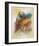 Royal Session-Joadoor-Framed Art Print