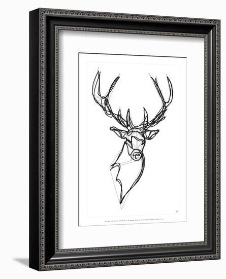 Royal Stag Deer-Antoine Tesquier Tedeschi-Framed Art Print