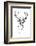 Royal Stag Deer-Antoine Tesquier Tedeschi-Framed Art Print