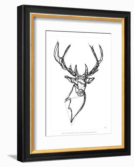 Royal Stag Deer-Antoine Tesquier Tedeschi-Framed Art Print