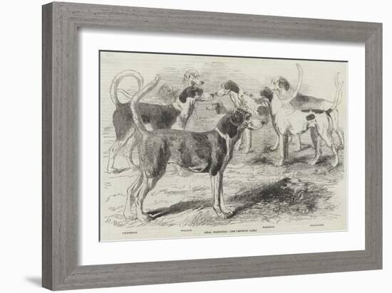 Royal Staghounds-Harrison William Weir-Framed Giclee Print