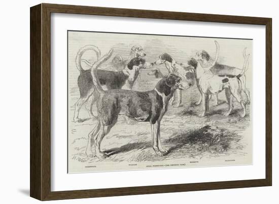 Royal Staghounds-Harrison William Weir-Framed Giclee Print