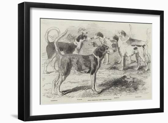 Royal Staghounds-Harrison William Weir-Framed Giclee Print