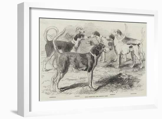 Royal Staghounds-Harrison William Weir-Framed Giclee Print