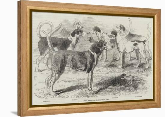 Royal Staghounds-Harrison William Weir-Framed Premier Image Canvas