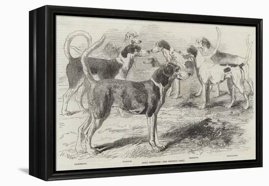 Royal Staghounds-Harrison William Weir-Framed Premier Image Canvas