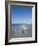 Royal Tern Birds on Beach, Sanibel Island, Gulf Coast, Florida-Robert Harding-Framed Photographic Print