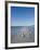 Royal Tern Birds on Beach, Sanibel Island, Gulf Coast, Florida-Robert Harding-Framed Photographic Print