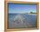 Royal Tern Birds on Beach, Sanibel Island, Gulf Coast, Florida-Robert Harding-Framed Premier Image Canvas