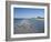 Royal Tern Birds on Beach, Sanibel Island, Gulf Coast, Florida-Robert Harding-Framed Photographic Print