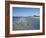 Royal Tern Birds on Beach, Sanibel Island, Gulf Coast, Florida-Robert Harding-Framed Photographic Print