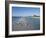 Royal Tern Birds on Beach, Sanibel Island, Gulf Coast, Florida-Robert Harding-Framed Photographic Print