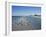 Royal Tern Birds on Beach, Sanibel Island, Gulf Coast, Florida-Robert Harding-Framed Photographic Print