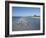 Royal Tern Birds on Beach, Sanibel Island, Gulf Coast, Florida-Robert Harding-Framed Photographic Print