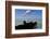 Royal Terns Flying Above the Turquoise Waters of the Gulf of Mexico Off of Holbox Island, Mexico-Karine Aigner-Framed Photographic Print