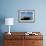 Royal Terns Flying Above the Turquoise Waters of the Gulf of Mexico Off of Holbox Island, Mexico-Karine Aigner-Framed Photographic Print displayed on a wall