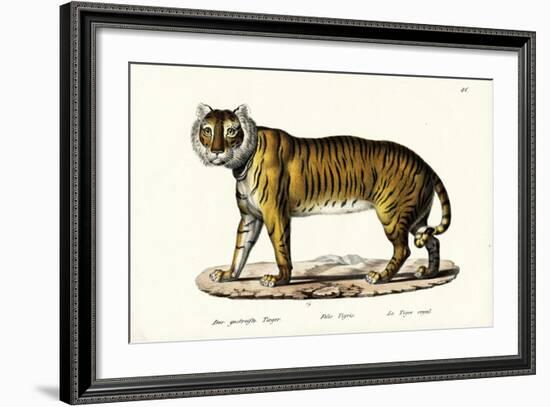 Royal Tiger, 1824-Karl Joseph Brodtmann-Framed Giclee Print