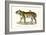 Royal Tiger, 1824-Karl Joseph Brodtmann-Framed Giclee Print