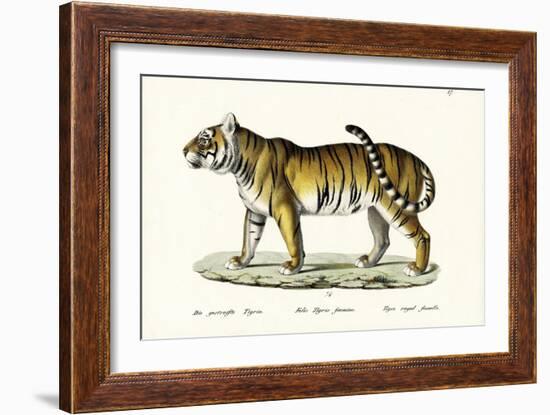 Royal Tiger, 1824-Karl Joseph Brodtmann-Framed Giclee Print