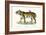 Royal Tiger, 1824-Karl Joseph Brodtmann-Framed Giclee Print