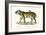 Royal Tiger, 1824-Karl Joseph Brodtmann-Framed Giclee Print