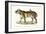 Royal Tiger, 1824-Karl Joseph Brodtmann-Framed Giclee Print