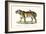 Royal Tiger, 1824-Karl Joseph Brodtmann-Framed Giclee Print