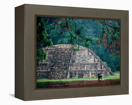 Royal Tomb, Maya, Copan, Honduras-Kenneth Garrett-Framed Premier Image Canvas