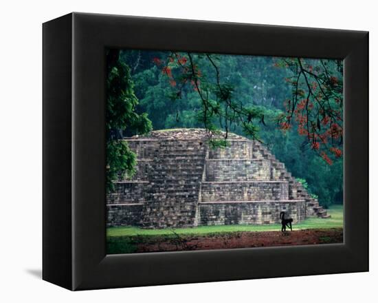 Royal Tomb, Maya, Copan, Honduras-Kenneth Garrett-Framed Premier Image Canvas