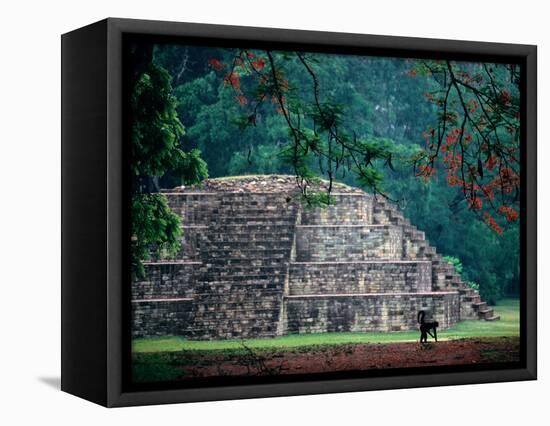 Royal Tomb, Maya, Copan, Honduras-Kenneth Garrett-Framed Premier Image Canvas