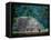 Royal Tomb, Maya, Copan, Honduras-Kenneth Garrett-Framed Premier Image Canvas