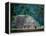 Royal Tomb, Maya, Copan, Honduras-Kenneth Garrett-Framed Premier Image Canvas