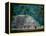 Royal Tomb, Maya, Copan, Honduras-Kenneth Garrett-Framed Premier Image Canvas