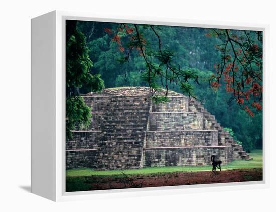 Royal Tomb, Maya, Copan, Honduras-Kenneth Garrett-Framed Premier Image Canvas