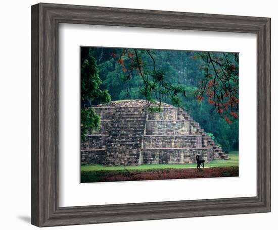 Royal Tomb, Maya, Copan, Honduras-Kenneth Garrett-Framed Photographic Print