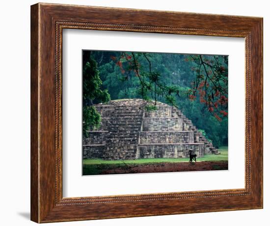 Royal Tomb, Maya, Copan, Honduras-Kenneth Garrett-Framed Photographic Print