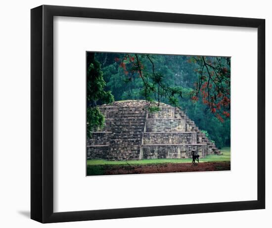 Royal Tomb, Maya, Copan, Honduras-Kenneth Garrett-Framed Photographic Print