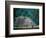 Royal Tomb, Maya, Copan, Honduras-Kenneth Garrett-Framed Photographic Print